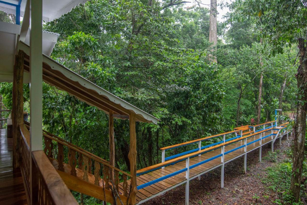 Blue Maverick Retreat - Secluded Nature Escape - 4Wd Access Required Cocles Εξωτερικό φωτογραφία